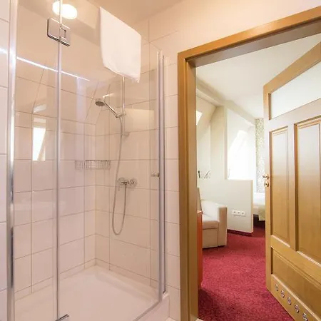 Mini-hôtel Biskupi 3*